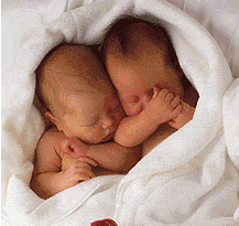 mes bébés